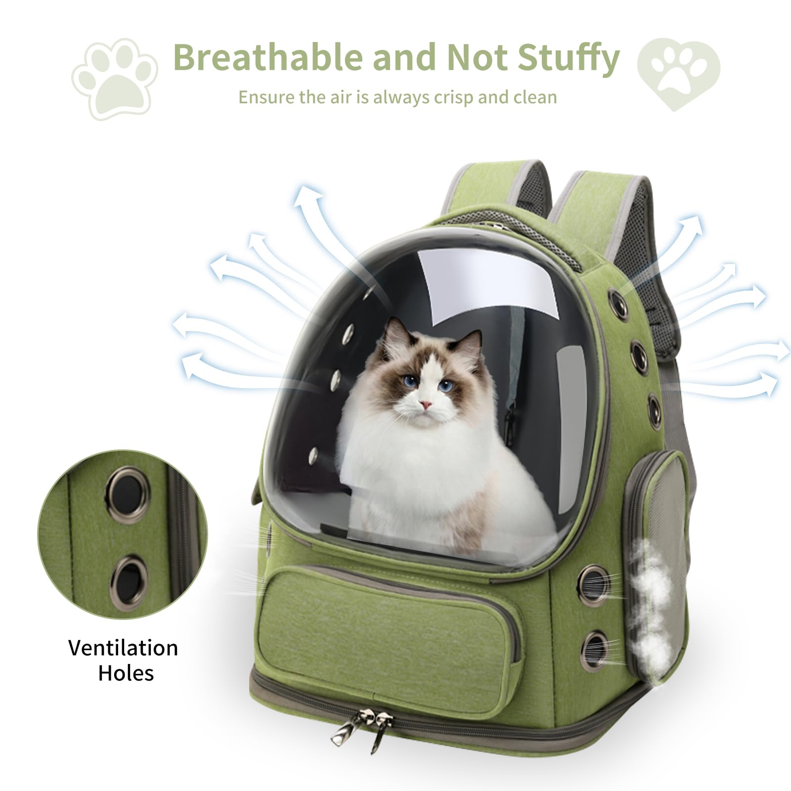 Cat Backpack Carrier Breathabl - Foldable Backpack Small 评论和价格